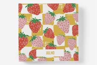 Álbum de Julho intro